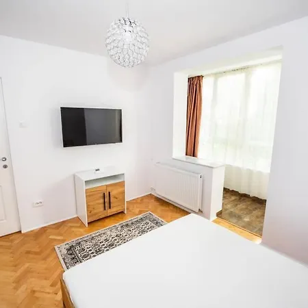 Central And Cosy Apartment Timisoara Διαμέρισμα