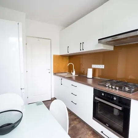 Central And Cosy Apartment Timisoara * Τιμισοάρα
