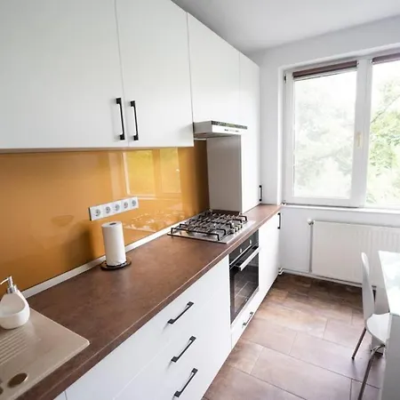 Central And Cosy Apartment Timisoara Διαμέρισμα
